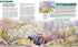 files/Fossils-and-the-Flood-Sample-2.jpg