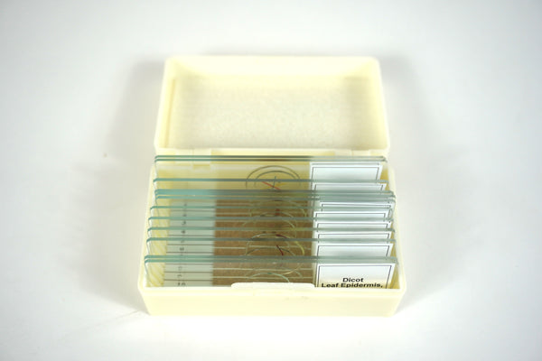 Devotional Biology Prepared Slide Set - 16 Count