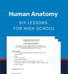 Anatomy Lessons