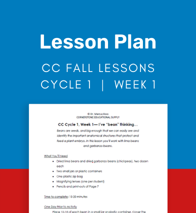 CC Cycle 1 Materials List + Week 01 Lesson: I've "bean" thinking...