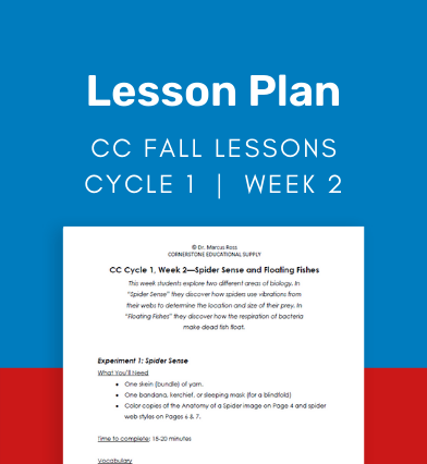 CC Cycle 1 Week 02 Lesson: Spider Sense and Floating Fishes