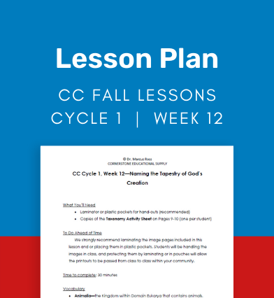 CC Cycle 1 Week 12 Lesson: Naming the Tapestry of God's Creation