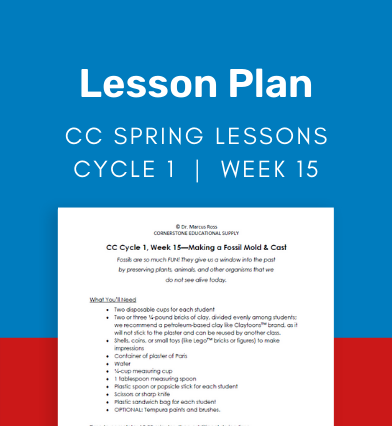 CC Cycle 1 Week 15 Lesson: Making a Fossil Mold & Cast