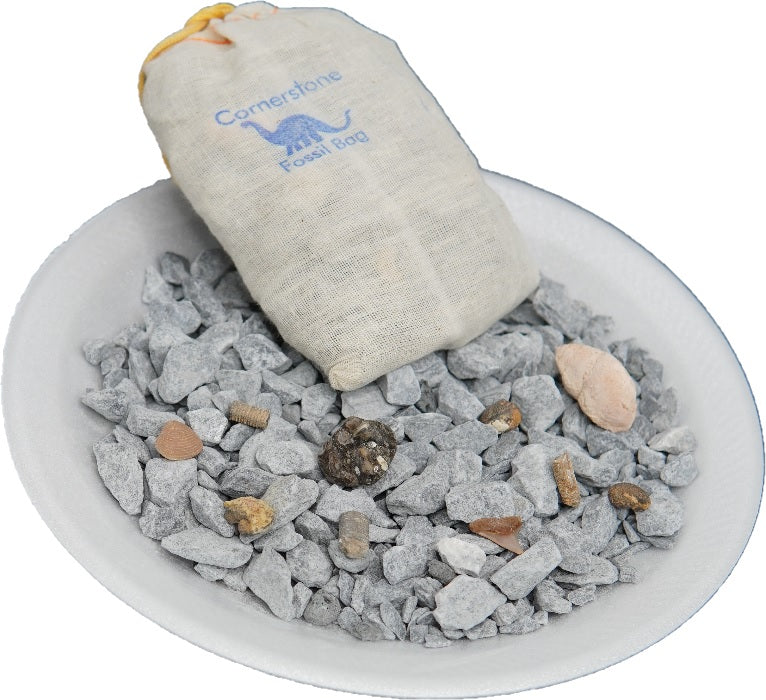 Fossil Bag