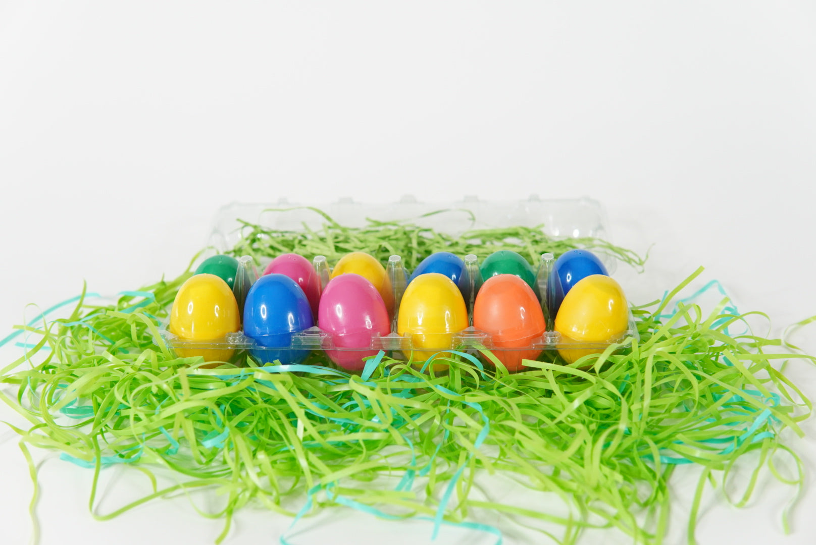 Fossil Egghunt Dozen