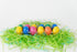 Fossil Egghunt Dozen