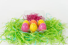 Fossil Egghunt Half Dozen