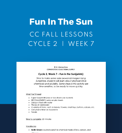 CC Cycle 2 Week 07 Lesson: Fun in the Sun