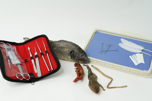 Discovering Design with Biology / Apologia Dissection Kit