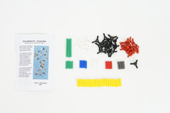 DNA Model