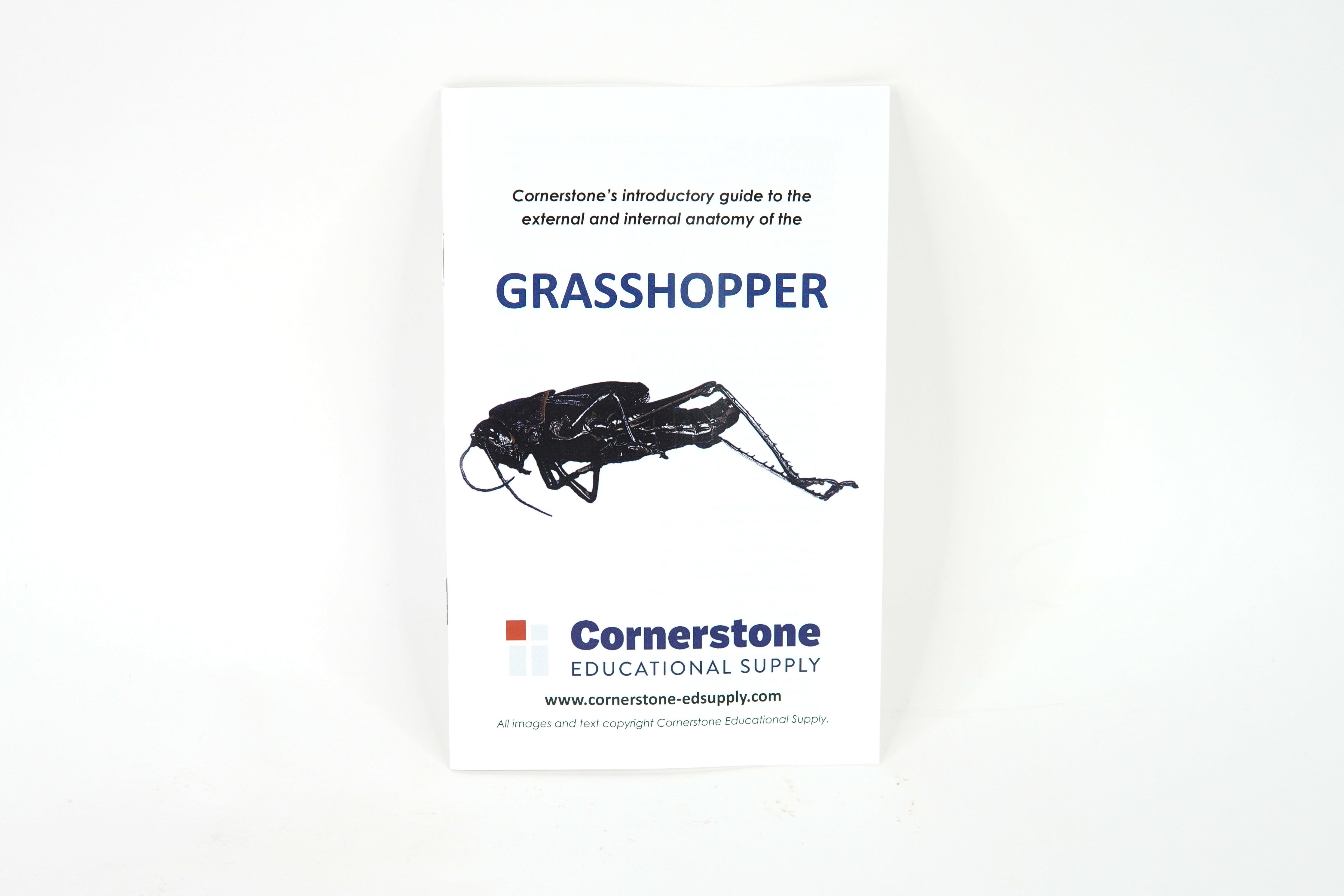 Grasshopper Dissection Guide