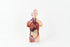 Small Anatomy Model