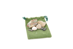 Little Fossil Bag
