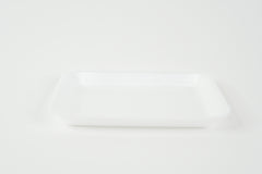 Foam Dissection Trays