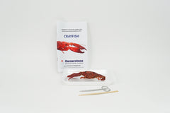 Crayfish Dissection Bundle