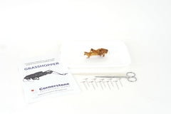Grasshopper Dissection Bundle