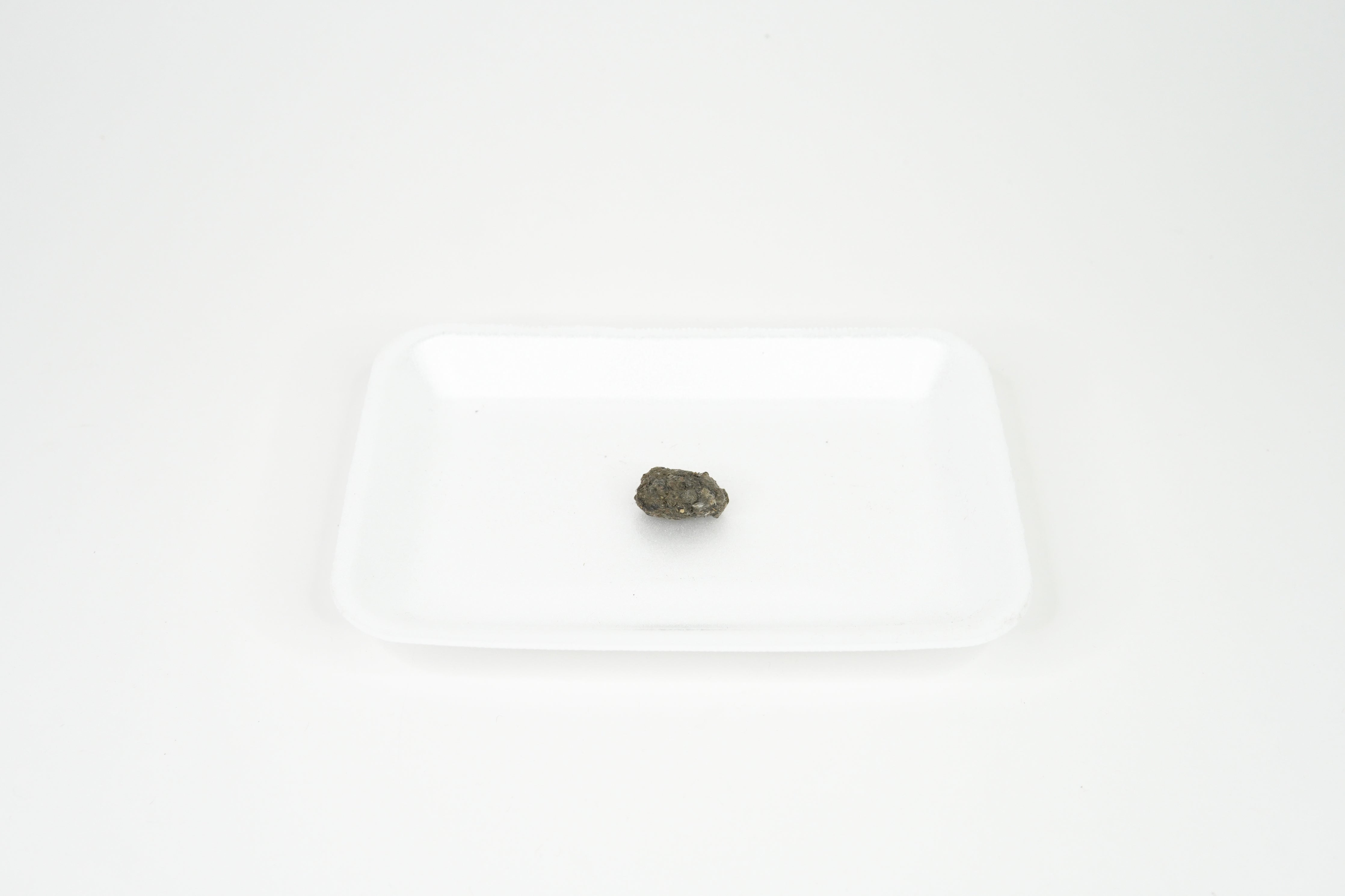 Owl Pellet - Regular Size
