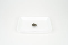 Owl Pellet - Regular Size