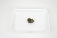 Owl Pellet - Large