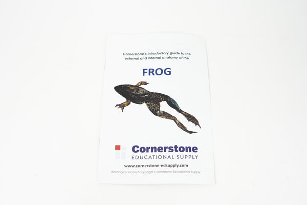 Frog Dissection Guide