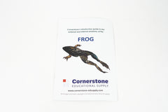 Frog Dissection Guide