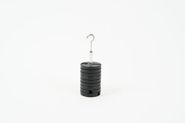 Slotted Hooked Weight - 100g Total