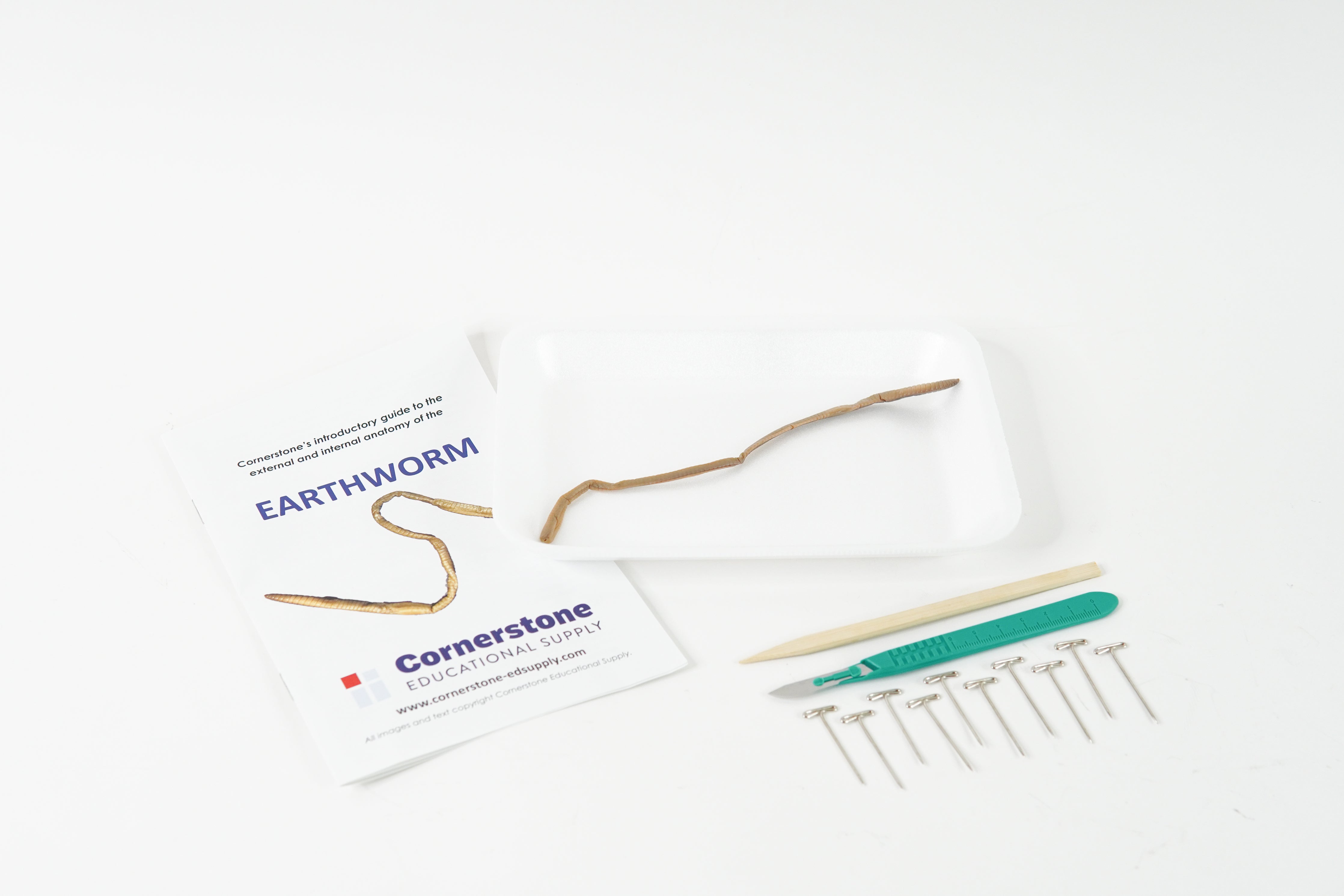 Earthworm Dissection Bundle