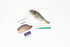 Perch Dissection Bundle