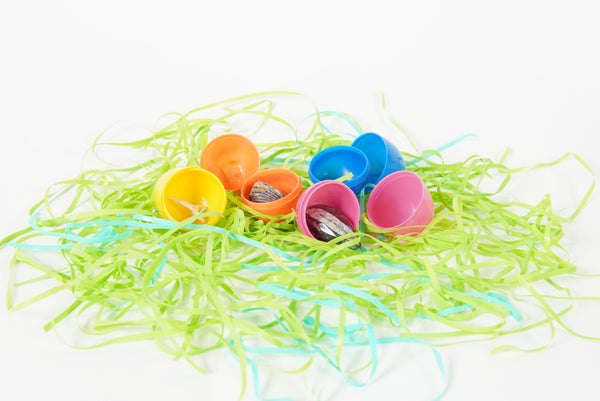 Fossil Egghunt Dozen