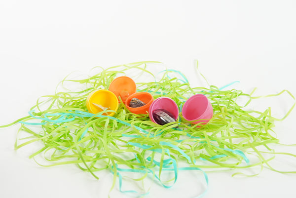 Fossil Egghunt Half Dozen