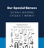 CC Cycle 3 Week 11 Lesson: Our Very Special Senses