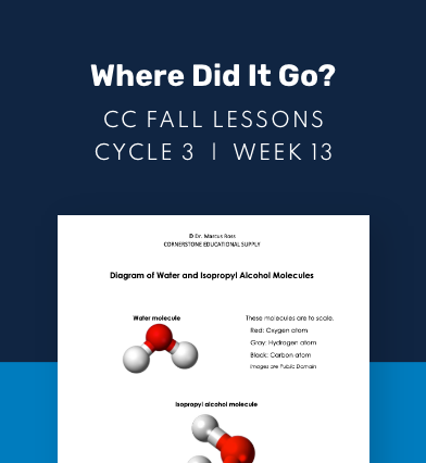 CC Cycle 3 Week 13 Lesson: Where did it go?
