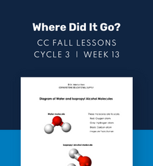 CC Cycle 3 Week 13 Lesson: Where did it go?