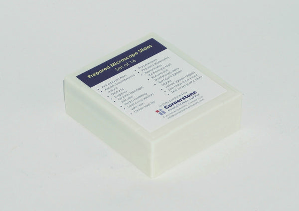 Prepared Microscope Slides - Apologia/Berean