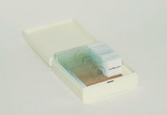 Prepared Microscope Slides - Apologia/Berean