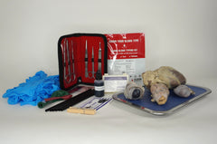 Journey Discover Anatomy & Physiology (A&P) Lab Kit
