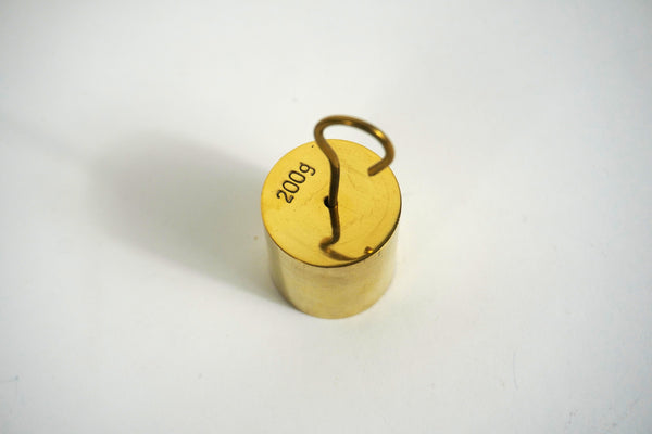 Solid Hooked Weight - 200g