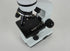 files/introd_microscope_1.jpg