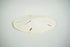 files/sanddollar3.jpg