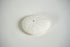 Sea Biscuit