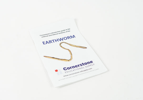 Earthworm Dissection Guide