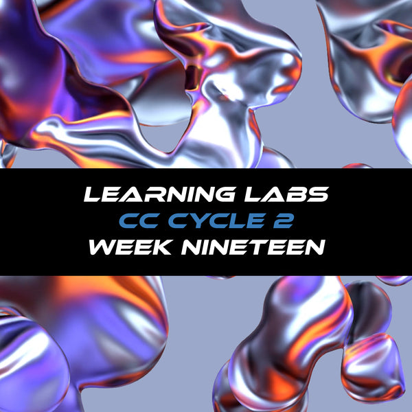 Learning Labs Cycle 2 Week Nineteen