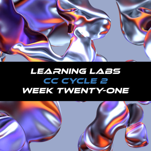 Learning Labs Cycle 2 Week Twenty-One