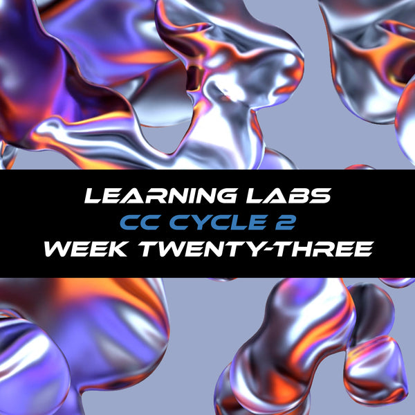 Learning Labs Cycle 2 Week Twenty-Three