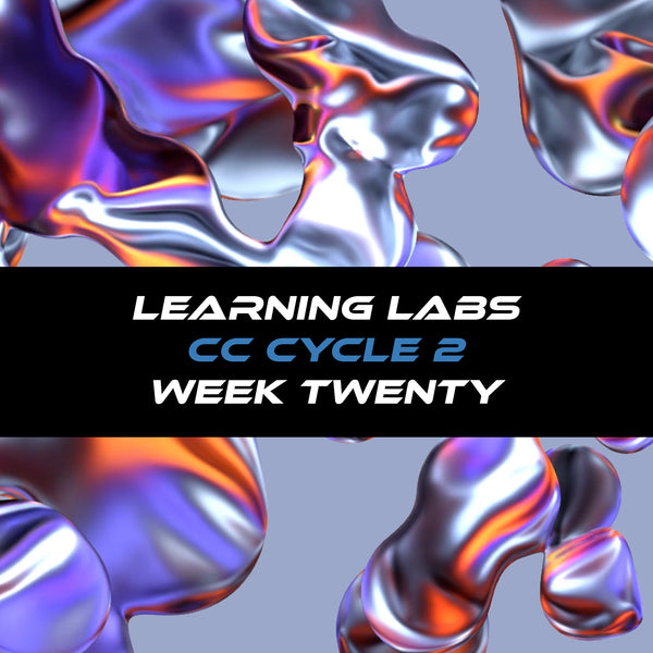 Learning Labs Cycle 2 Week Twenty