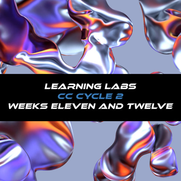 Learning Labs Cycle 2 Weeks Eleven and Twelve