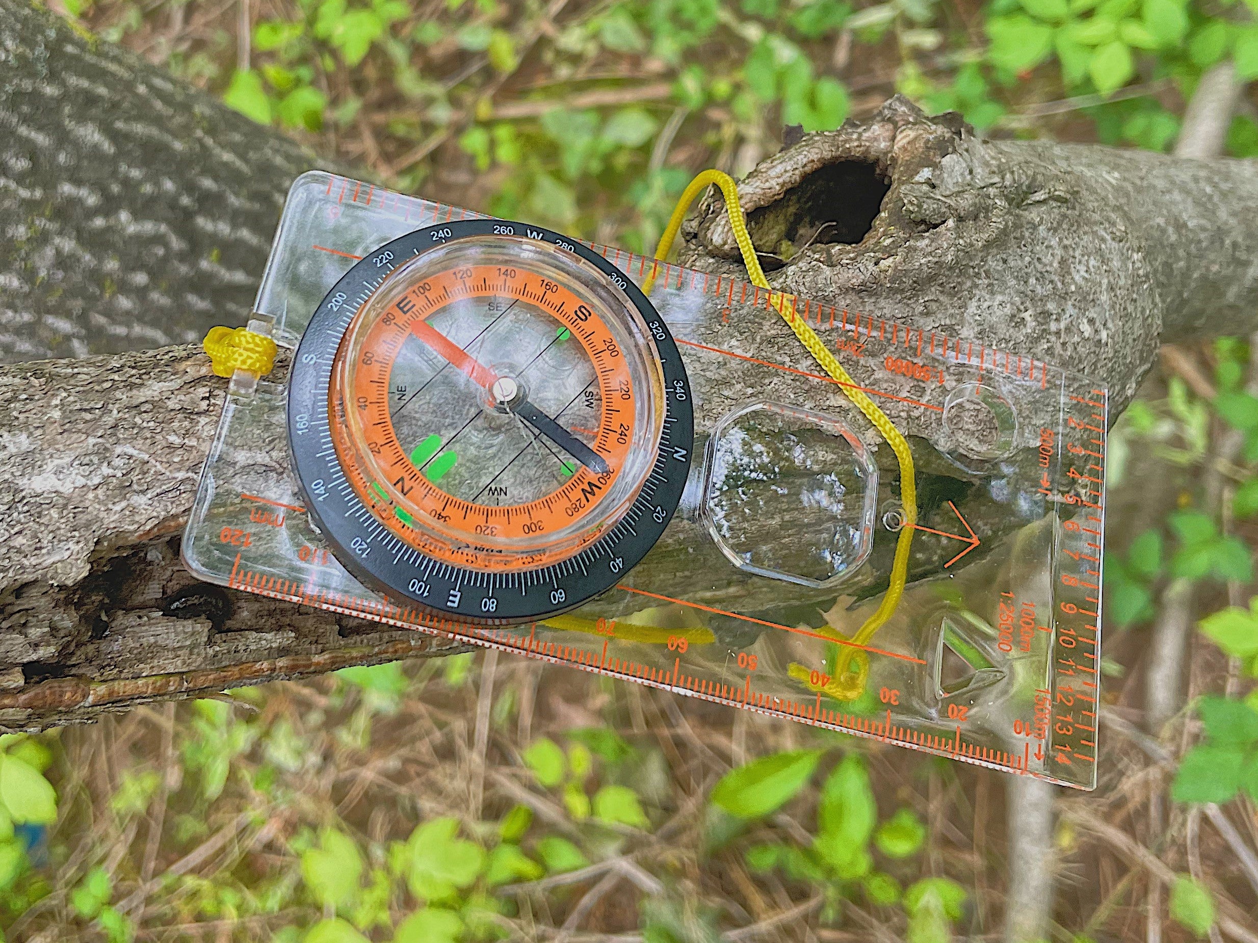 Field Compass | Cornerstone Educational Supply