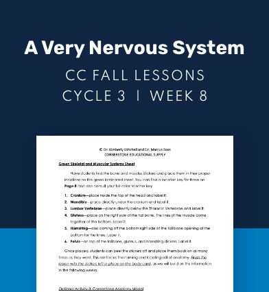 CC Cycle 3 Week 08 Lesson: A Very Nervous System