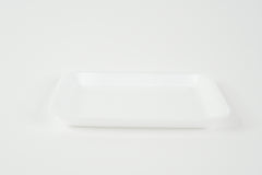Foam Dissection Trays