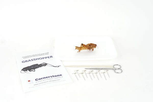Grasshopper Dissection Bundle